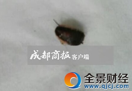 男子杀虫剂喷耳朵杀蟑螂 睡梦中被刺痛惊醒蟑螂爬入耳道