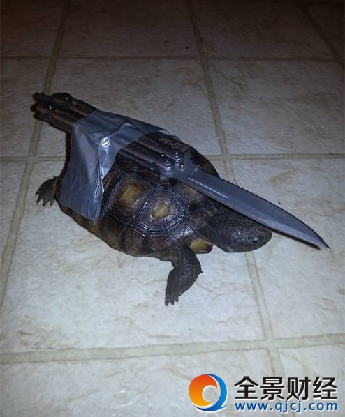 这些夫妻在作死的路上越走越远 情人节情侣整蛊恶作剧攻略奉上