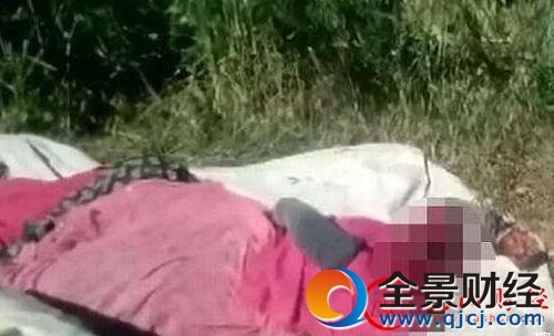 ����,͵��