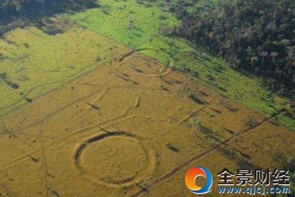 巴西雨林现巨型图案如“巨石阵”逾2000年历史