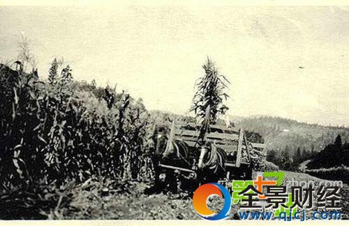 外星人真的来过?盘点百年来经典UFO目击照片