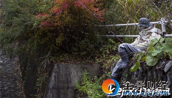 男子发现遗弃庄 进村后看到了不可思议的一幕一脸懵逼