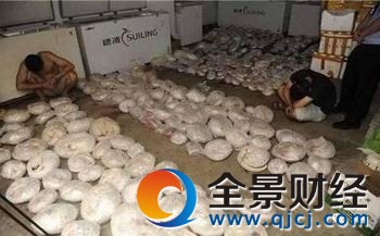 穿山甲贩卖潜规则 小心被毒!注射进去的都是什么东西?