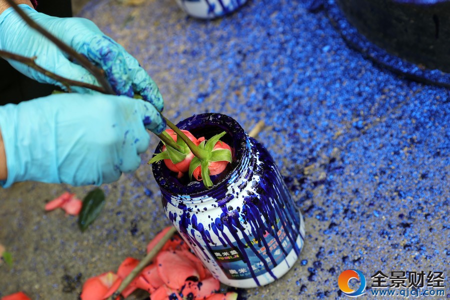 ���˽����͸�Ů������ĵ���ɫ���������������������ġ�