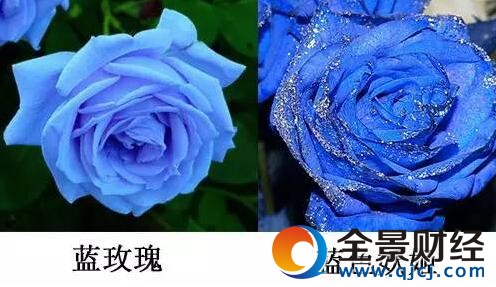 ���˽����͸�Ů������ĵ���ɫ���������������������ġ�