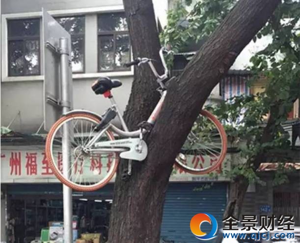 ������������ƭ���ع⣡һ��С�����Ǯ��û��