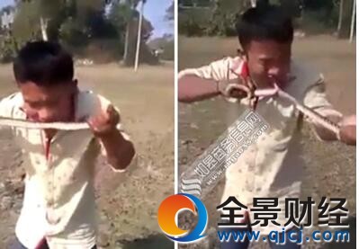 印男子生吃野蛇画面惊悚 牙齿活剥蛇皮不顾满口蛇血生吞腹中