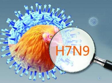 h7n9.jpg