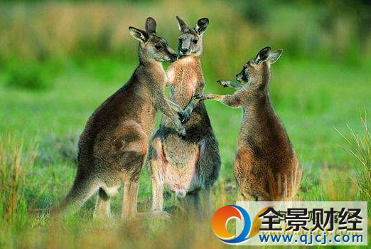 �Ľ�����������