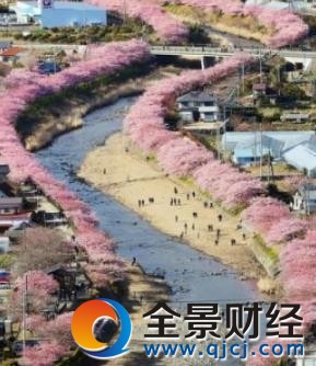 �ձ��紺ӣ��ʢ��