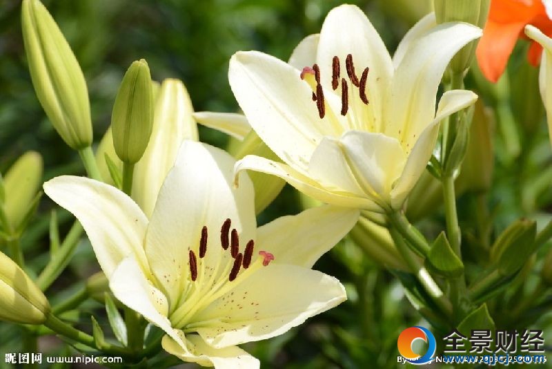 �ʺ����˽��͵Ļ����ٺ�