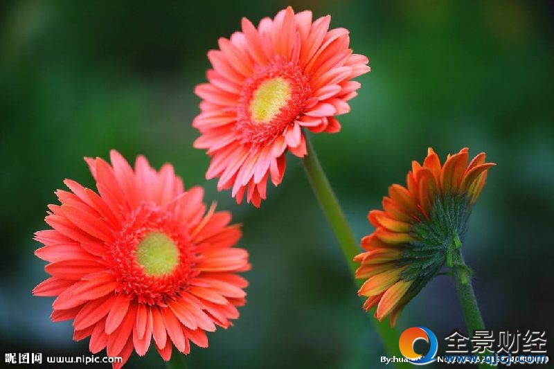 �ʺ����˽��͵Ļ������ɻ�