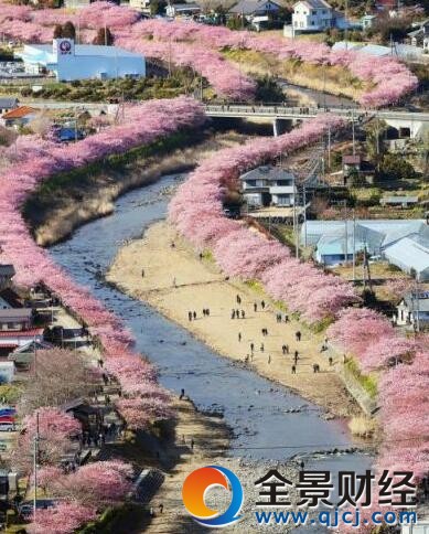 �ձ��紺ӣ��ʢ��