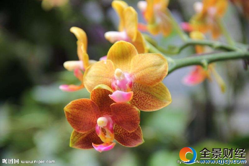 �ʺ����˽��͵Ļ���������