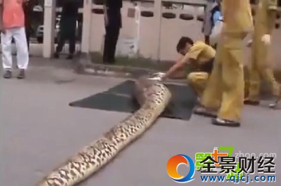 �������̻��˱����ʣ����������Ż�ȫ��