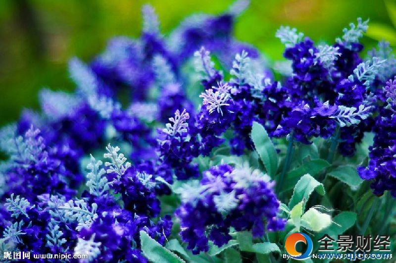 �ʺ����˽��͵Ļ���޹�²�