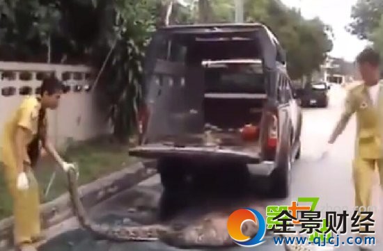 �������̻��˱����ʣ����������Ż�ȫ��