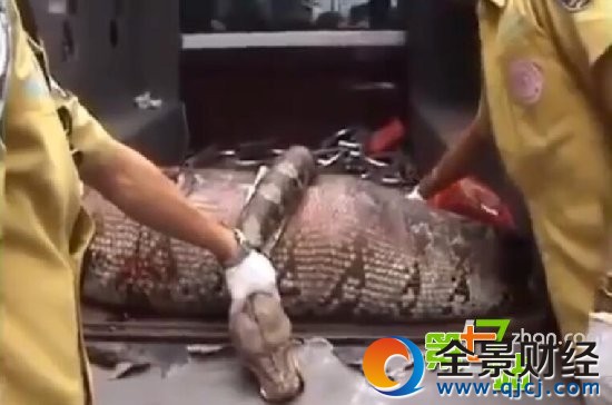 �������̻��˱����ʣ����������Ż�ȫ��