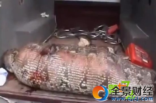 �������̻��˱����ʣ����������Ż�ȫ��