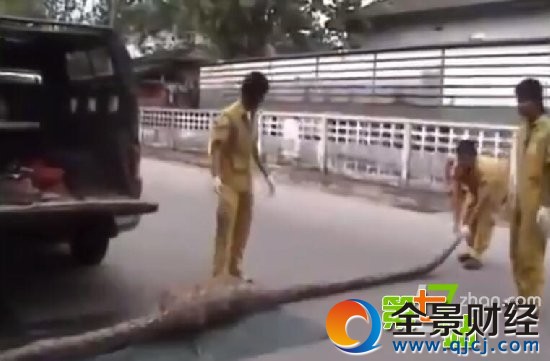 �������̻��˱����ʣ����������Ż�ȫ��