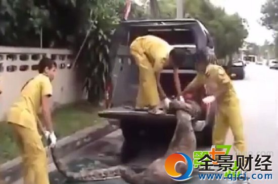 �������̻��˱����ʣ����������Ż�ȫ��