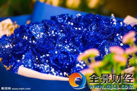 �ʺ����˽��͵Ļ�����ɫ����