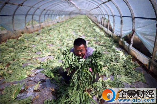 ǧ���߲˼۵��õ� �ֳ�ͼƬ�ع��ũ���龾��