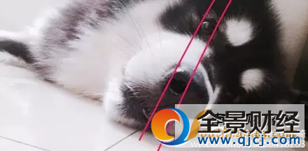 13万网友曝光行业小秘密 原来电影院里到处是它