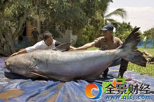 �й���ֻ�������ˣ������Ϻ����ľ�������