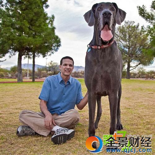 �й���ֻ�������ˣ������Ϻ����ľ�������