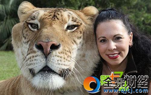 �й���ֻ�������ˣ������Ϻ����ľ�������