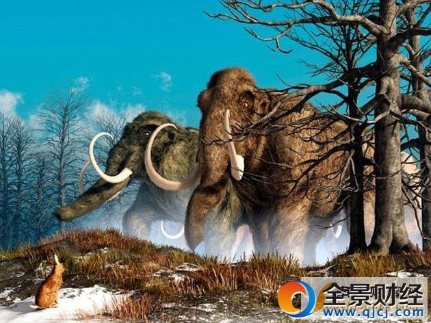 猛犸象在上一次冰河时期一度称霸欧洲、亚洲、非洲与北美洲。后来由于气候变化和人类捕猎的双重影响,在距今约4500年前销声匿迹。