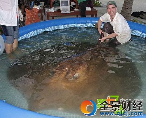 �й���ֻ�������ˣ������Ϻ����ľ�������