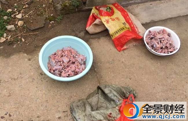 ũ��ץ114ֻ��󡱻�У��ѵ���������