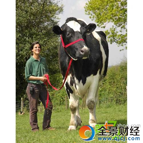 �й���ֻ�������ˣ������Ϻ����ľ�������