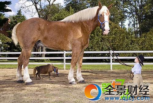 �й���ֻ�������ˣ������Ϻ����ľ�������