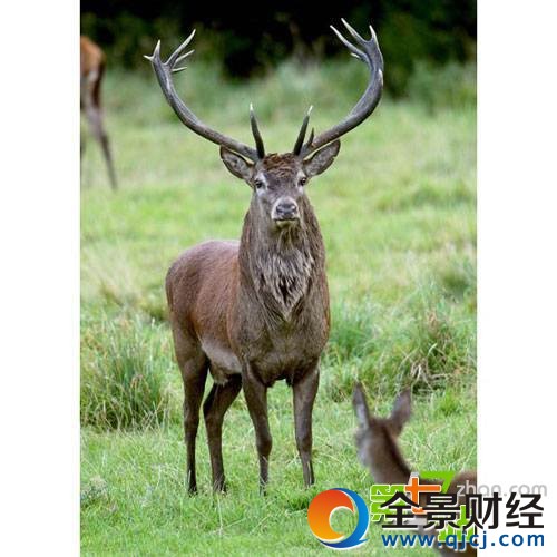 �й���ֻ�������ˣ������Ϻ����ľ�������