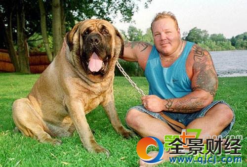 �й���ֻ�������ˣ������Ϻ����ľ�������