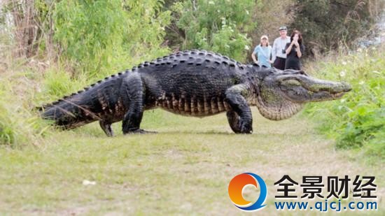 Ұ������ʷǰ����