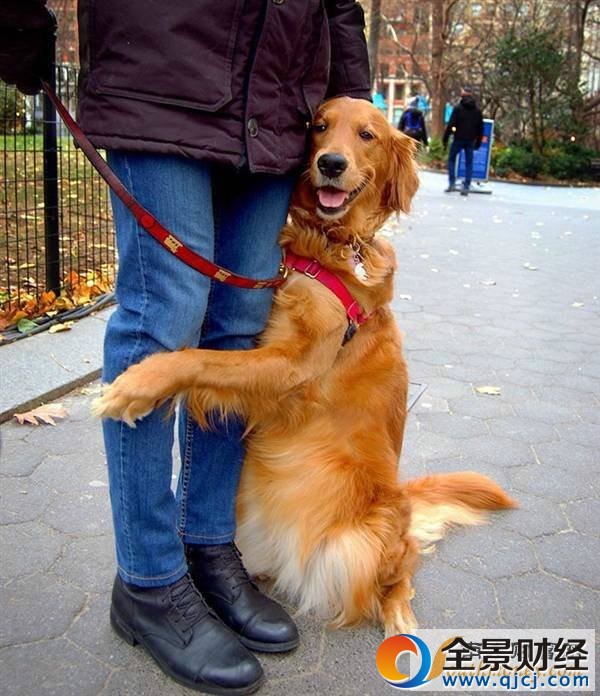 �ɰ�����ţȮˣ����Ը��· ��Ӥ���������ȷ�����