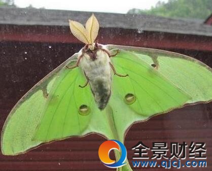 �к�����ͨ��Ӽȴ������ϲ ��βˮ��꾹�������