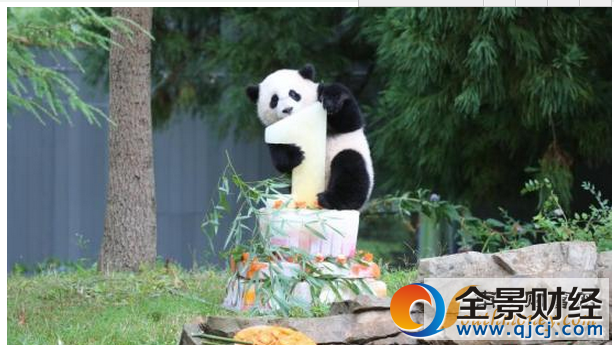 ��������è���������ع��綨�� ��;״̬����δ�λ�