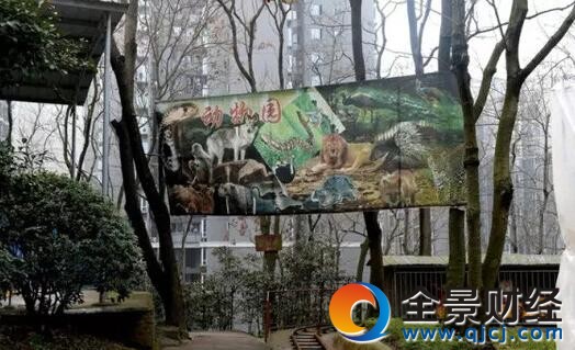 一个人的动物园:门票10元一片死寂 袖珍动物园彷如“悲惨世界”