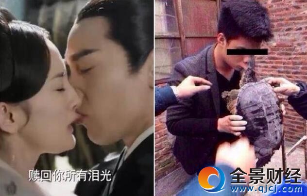 赵又廷咬唇激吻杨幂 网友搞笑晒出这张图简直神应景