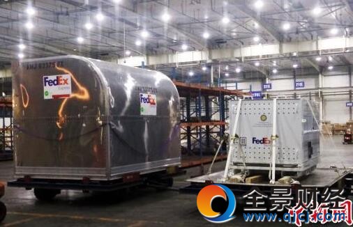 旅美大熊猫“宝宝”抵达成都 隔离一个月后与大家见面