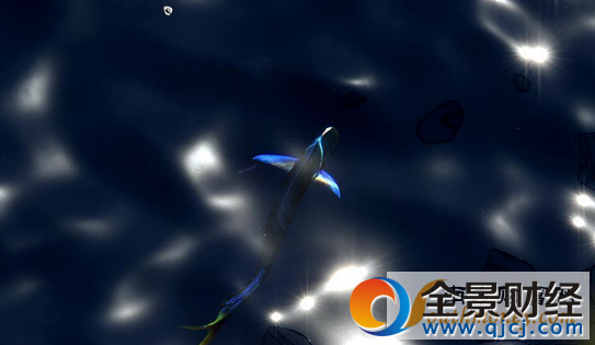 ��̽���Ϻ�������