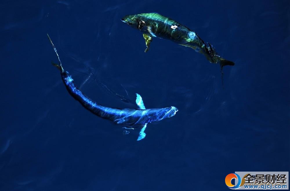 ��̽���Ϻ�������