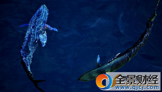 ��̽���Ϻ�������