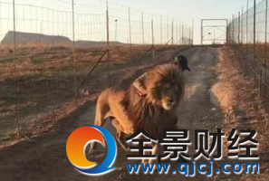 �Ϸ���ʨ��·�������� ÿ�춼�������һ��ʽ