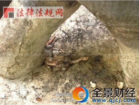 恐怖!巨型蜥蜴吃掉了4个月大婴儿